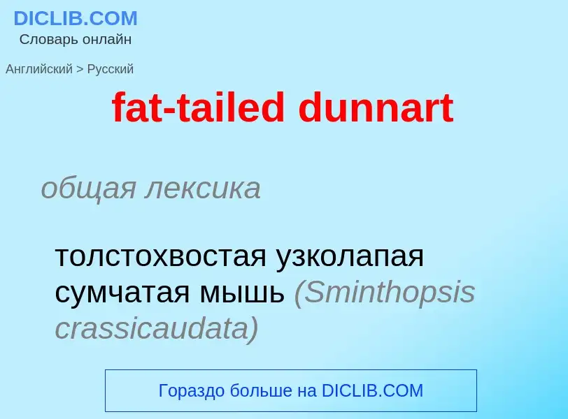 Vertaling van &#39fat-tailed dunnart&#39 naar Russisch