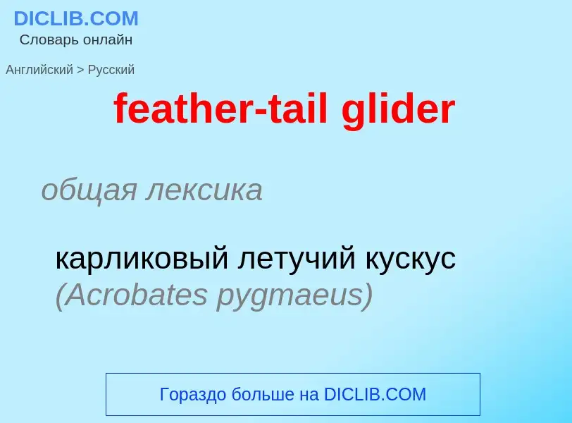 Μετάφραση του &#39feather-tail glider&#39 σε Ρωσικά