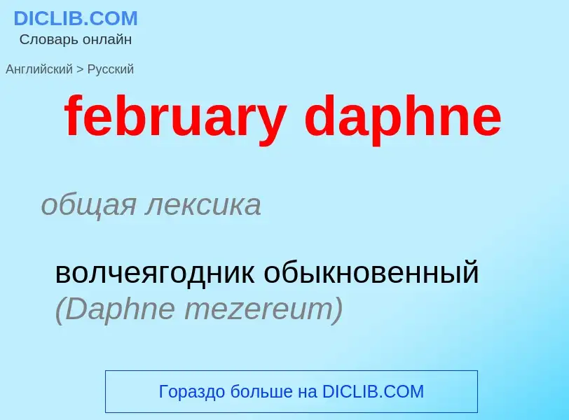 Vertaling van &#39february daphne&#39 naar Russisch