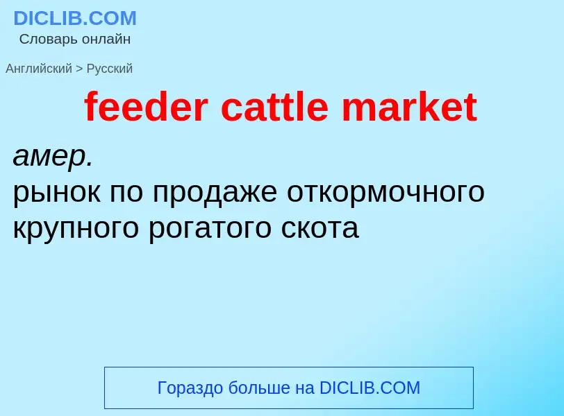 What is the Russian for feeder cattle market? Translation of &#39feeder cattle market&#39 to Russian