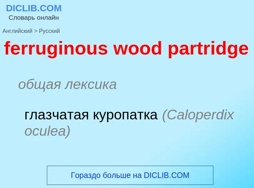 Как переводится ferruginous wood partridge на Русский язык