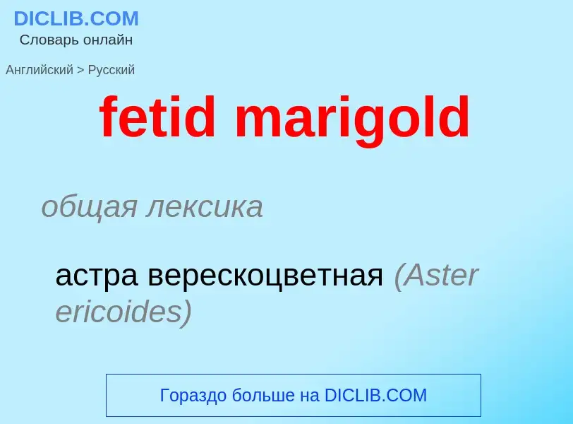 What is the Russian for fetid marigold? Translation of &#39fetid marigold&#39 to Russian