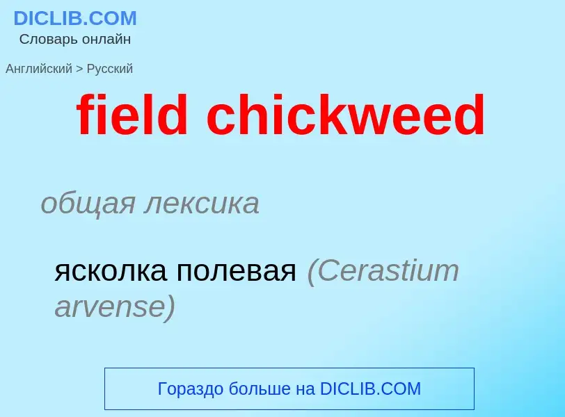 Vertaling van &#39field chickweed&#39 naar Russisch