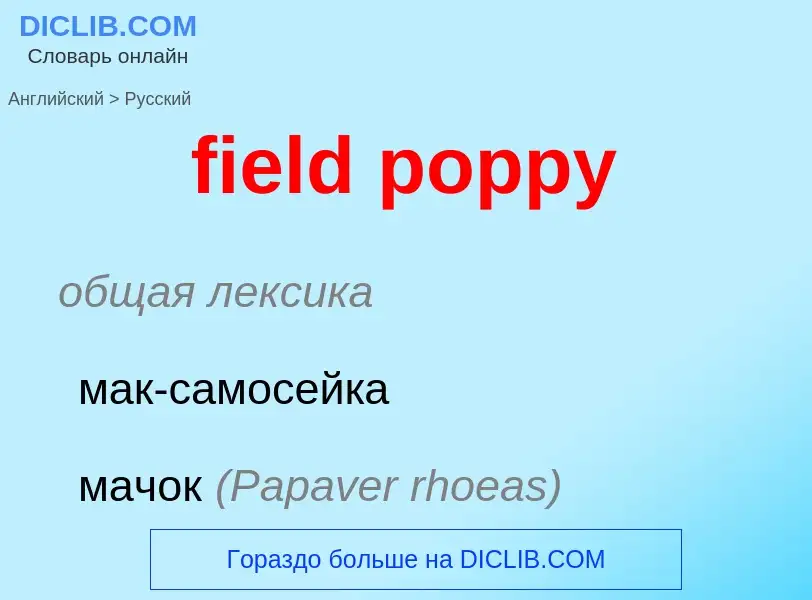 What is the Russian for field poppy? Translation of &#39field poppy&#39 to Russian