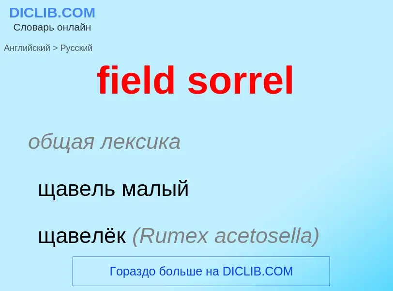 Como se diz field sorrel em Russo? Tradução de &#39field sorrel&#39 em Russo