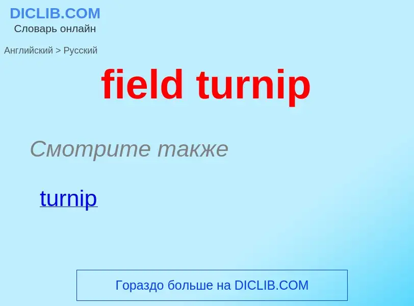 Как переводится field turnip на Русский язык