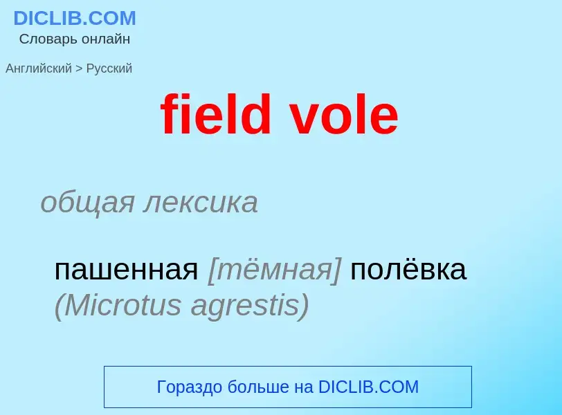 ¿Cómo se dice field vole en Ruso? Traducción de &#39field vole&#39 al Ruso