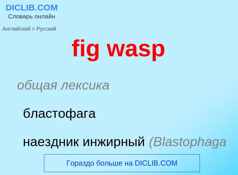 Μετάφραση του &#39fig wasp&#39 σε Ρωσικά