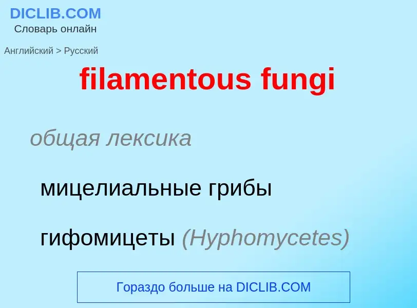 Traduction de &#39filamentous fungi&#39 en Russe