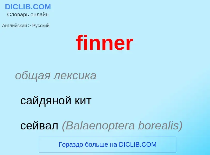 Как переводится finner на Русский язык