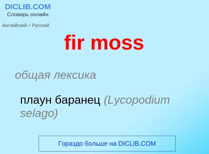 Как переводится fir moss на Русский язык