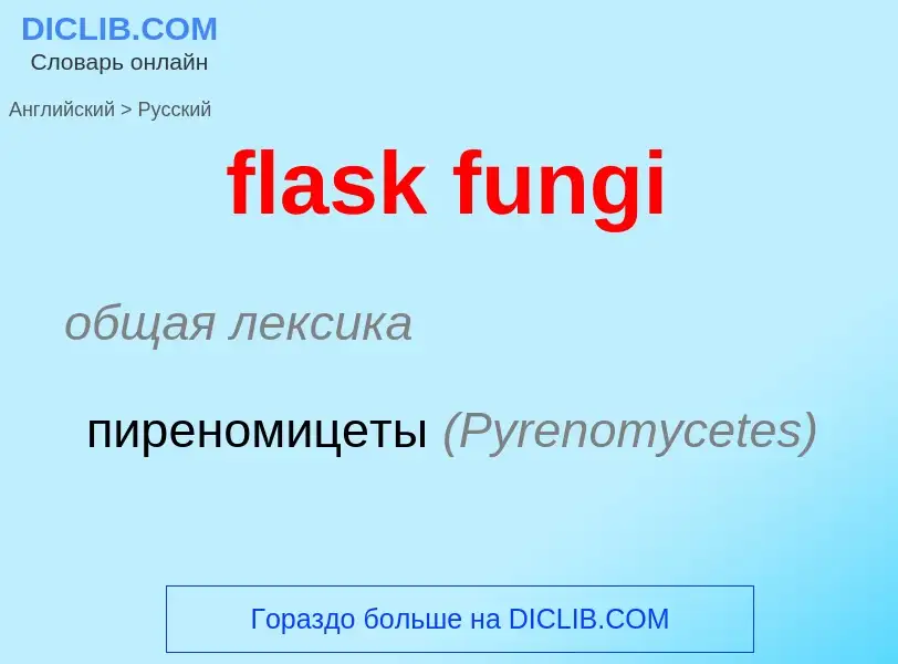 Traduction de &#39flask fungi&#39 en Russe