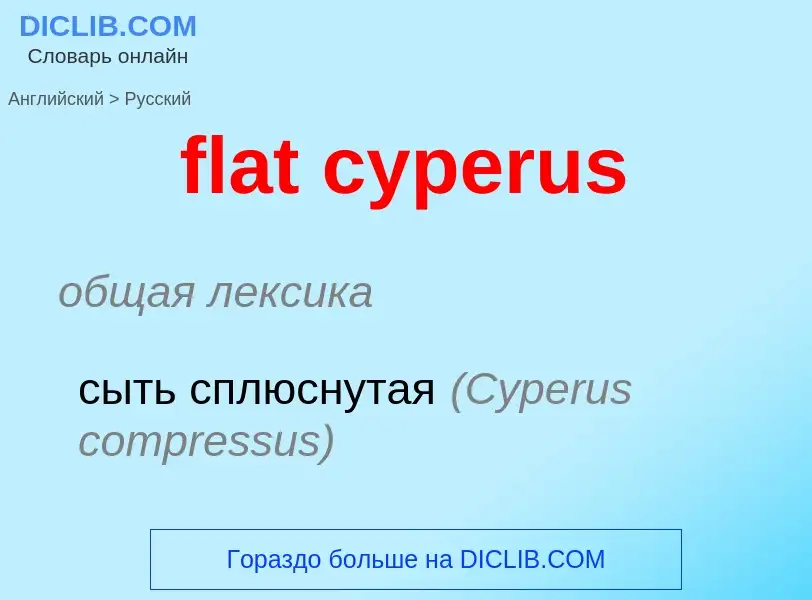 Как переводится flat cyperus на Русский язык