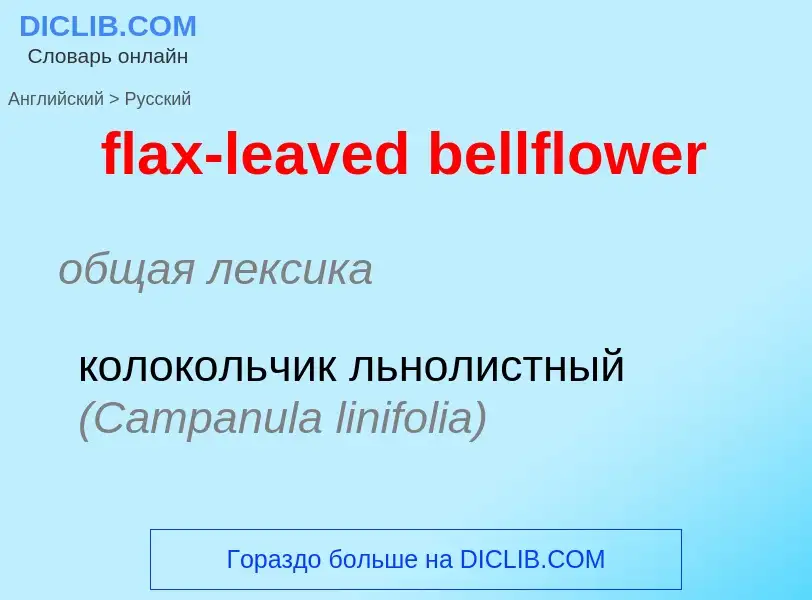 Vertaling van &#39flax-leaved bellflower&#39 naar Russisch