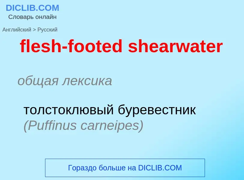 ¿Cómo se dice flesh-footed shearwater en Ruso? Traducción de &#39flesh-footed shearwater&#39 al Ruso