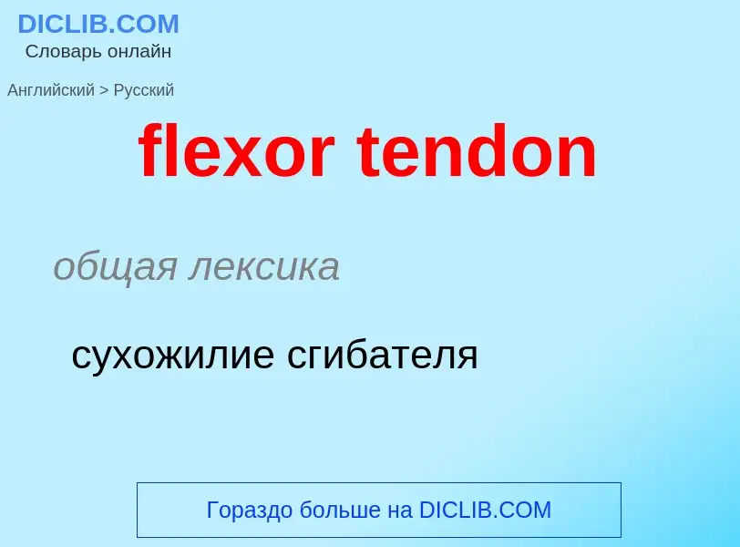 Как переводится flexor tendon на Русский язык