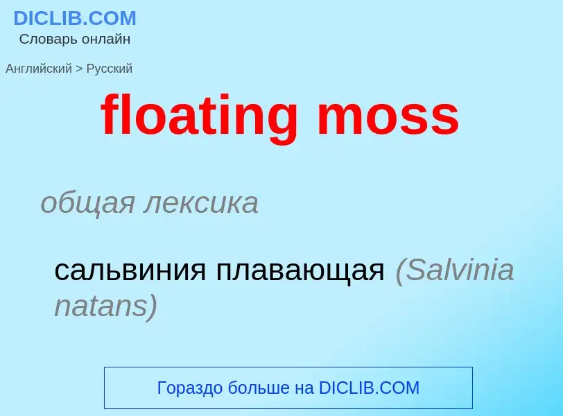 Como se diz floating moss em Russo? Tradução de &#39floating moss&#39 em Russo