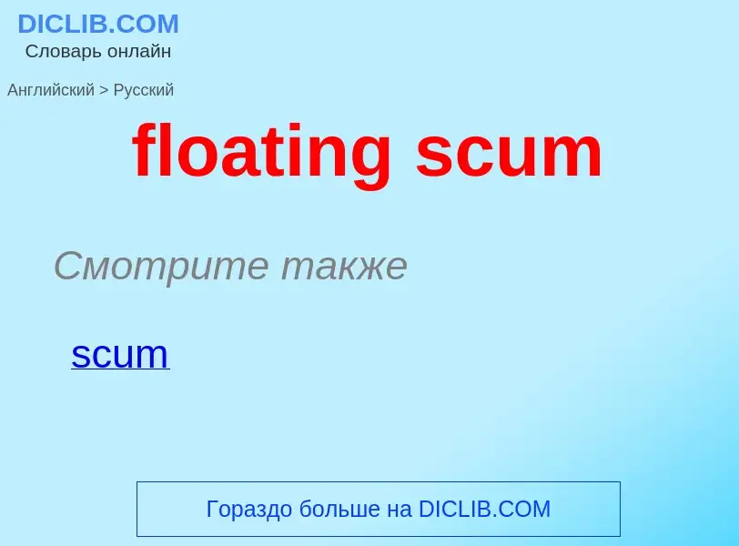 What is the Russian for floating scum? Translation of &#39floating scum&#39 to Russian