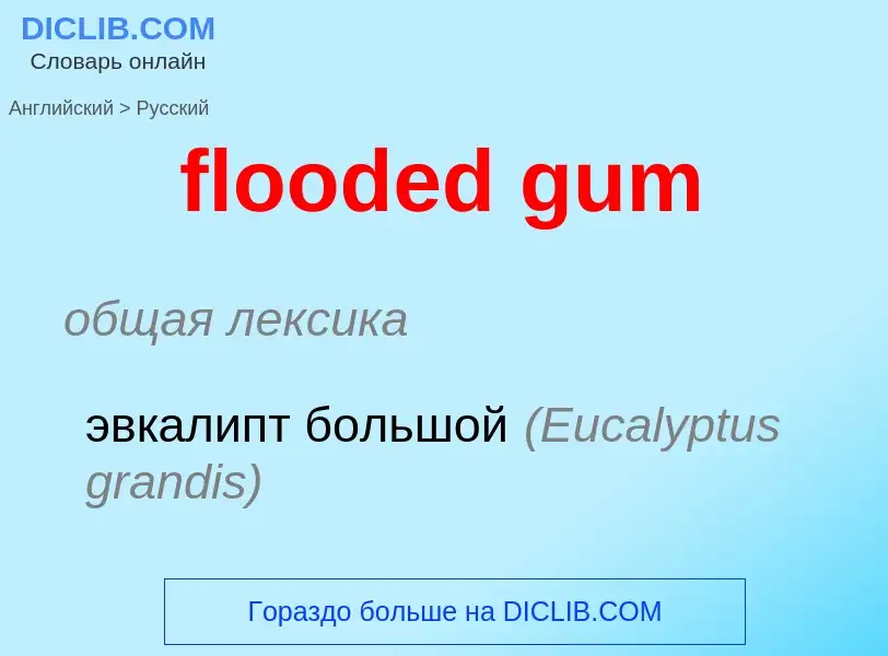 Как переводится flooded gum на Русский язык