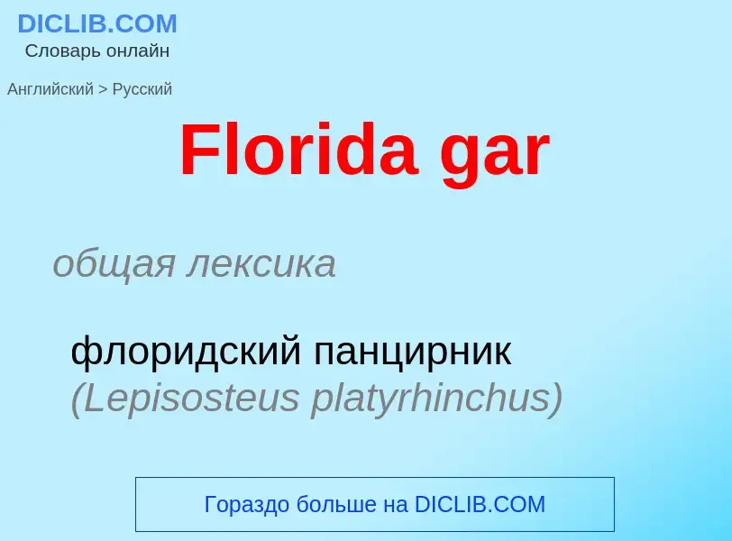 What is the Russian for Florida gar? Translation of &#39Florida gar&#39 to Russian