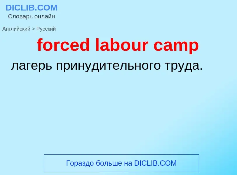 Как переводится forced labour camp на Русский язык