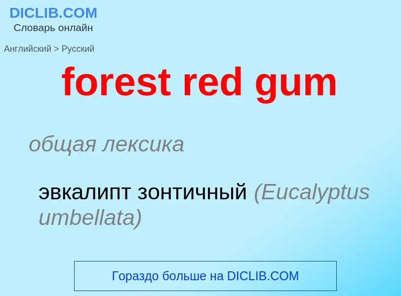 Как переводится forest red gum на Русский язык