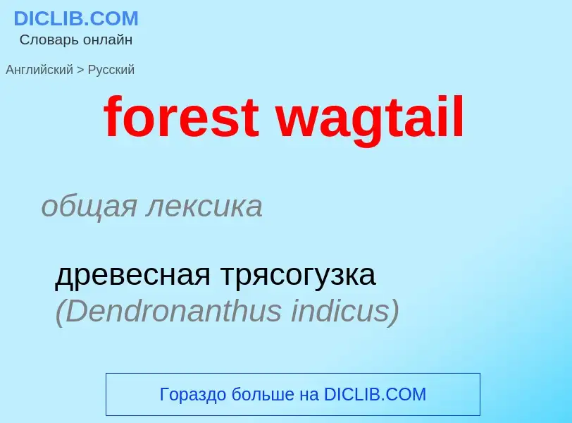 Μετάφραση του &#39forest wagtail&#39 σε Ρωσικά