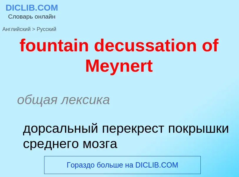 Как переводится fountain decussation of Meynert на Русский язык