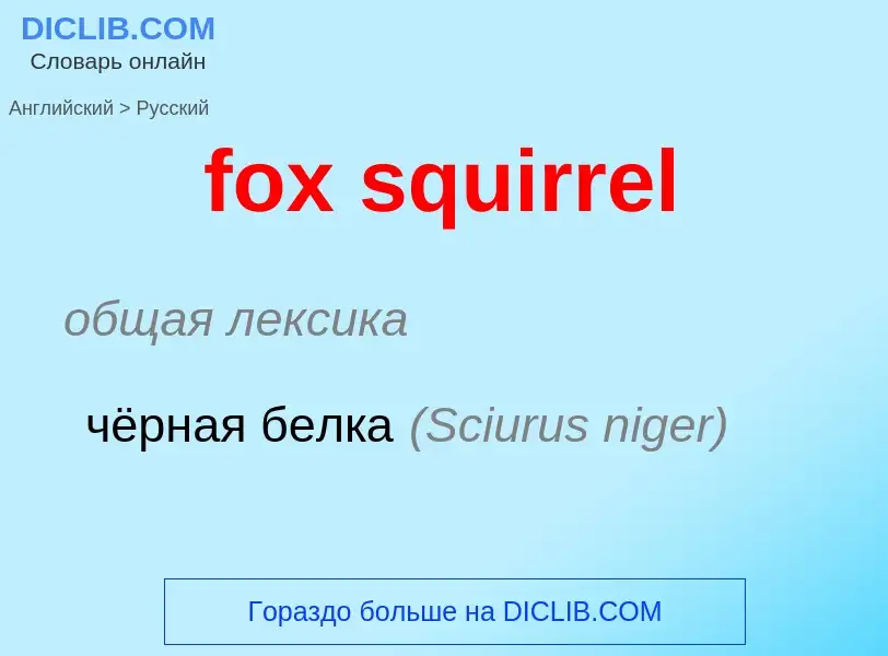 Vertaling van &#39fox squirrel&#39 naar Russisch