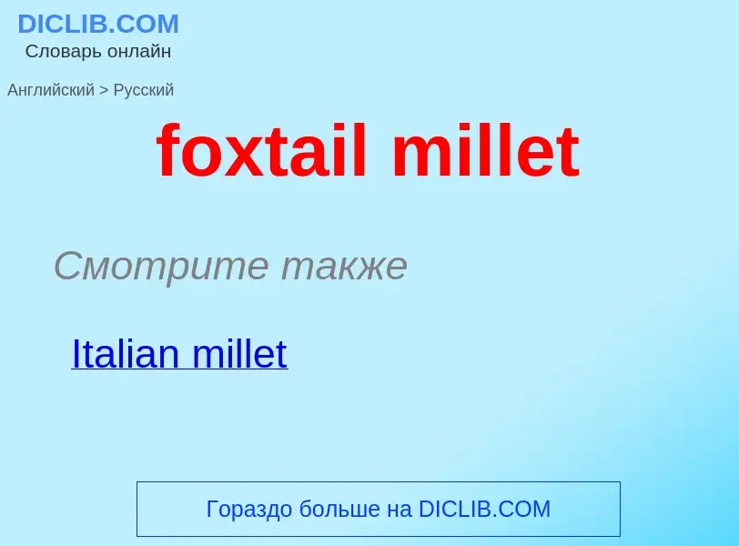 Übersetzung von &#39foxtail millet&#39 in Russisch