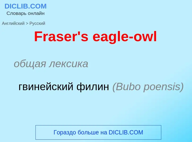 Как переводится Fraser's eagle-owl на Русский язык