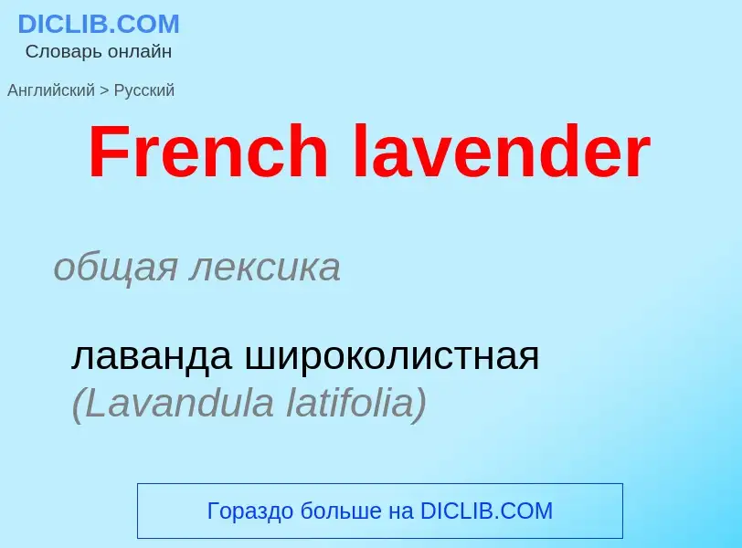 Как переводится French lavender на Русский язык