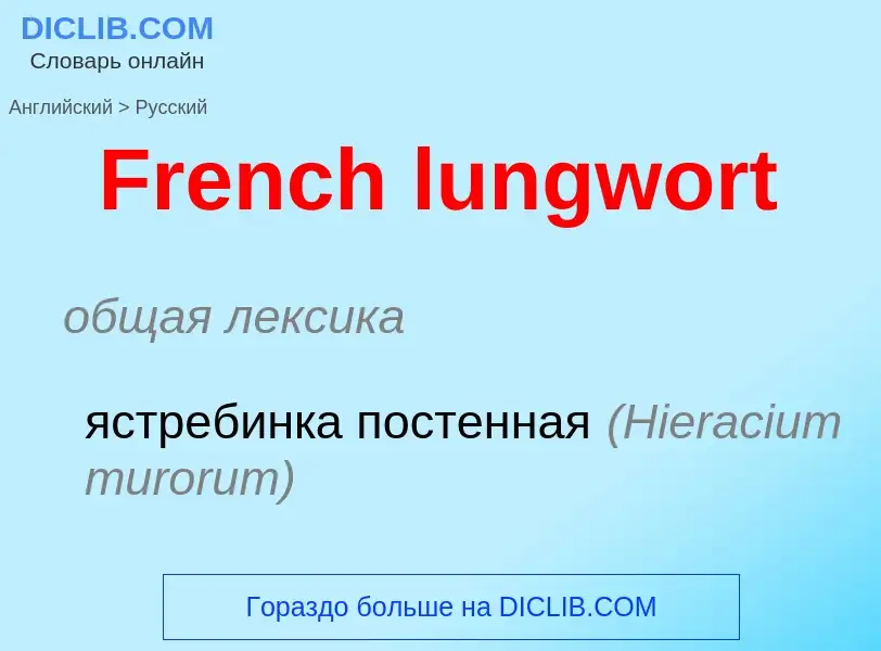 Как переводится French lungwort на Русский язык