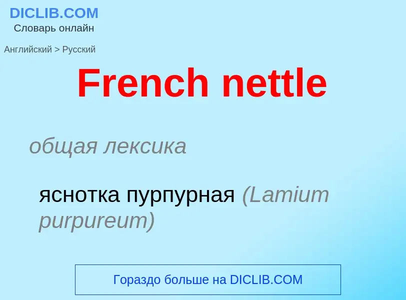 Как переводится French nettle на Русский язык