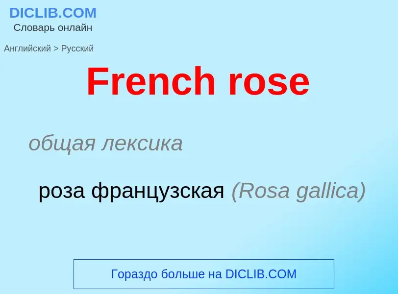 Как переводится French rose на Русский язык