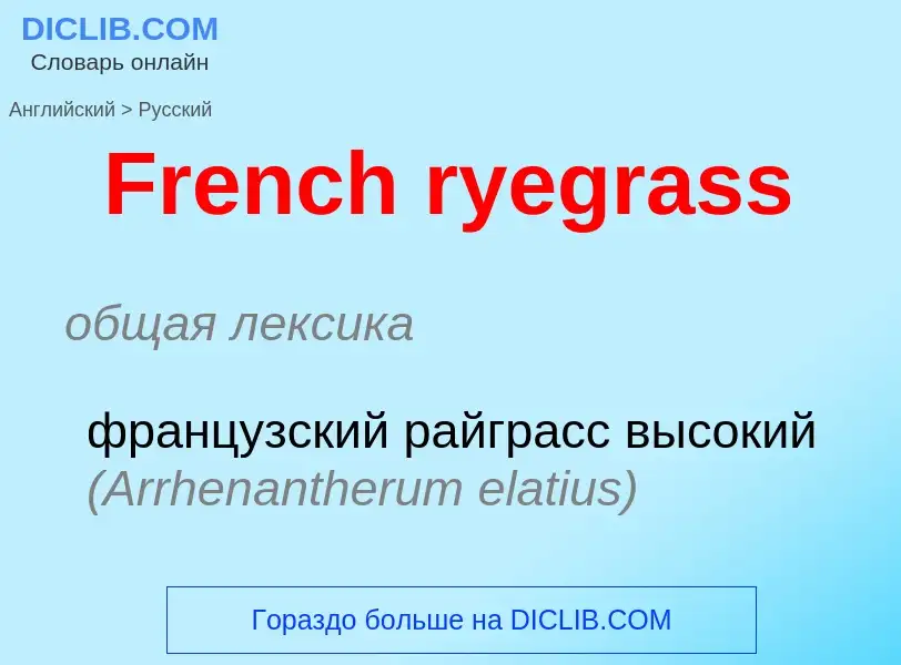 Как переводится French ryegrass на Русский язык