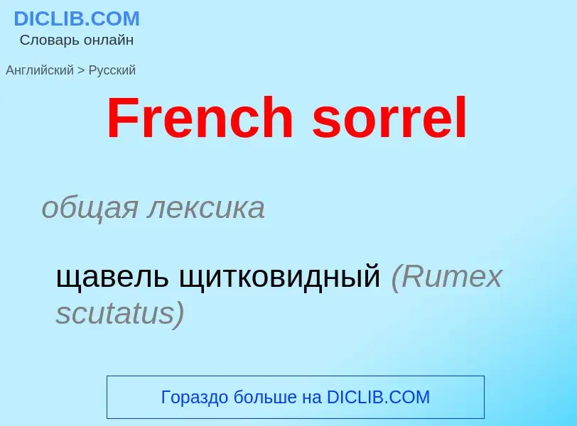 Как переводится French sorrel на Русский язык