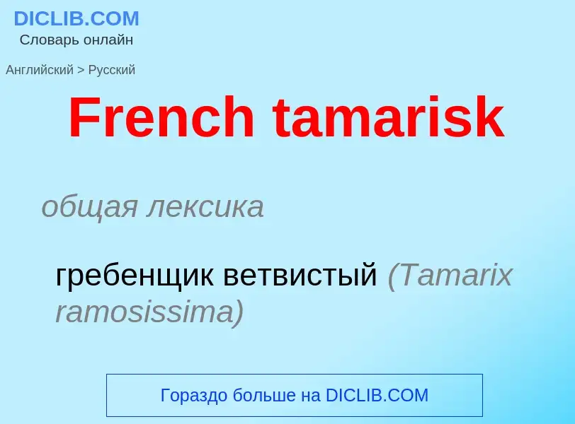 Как переводится French tamarisk на Русский язык