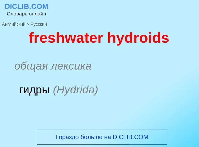 Vertaling van &#39freshwater hydroids&#39 naar Russisch