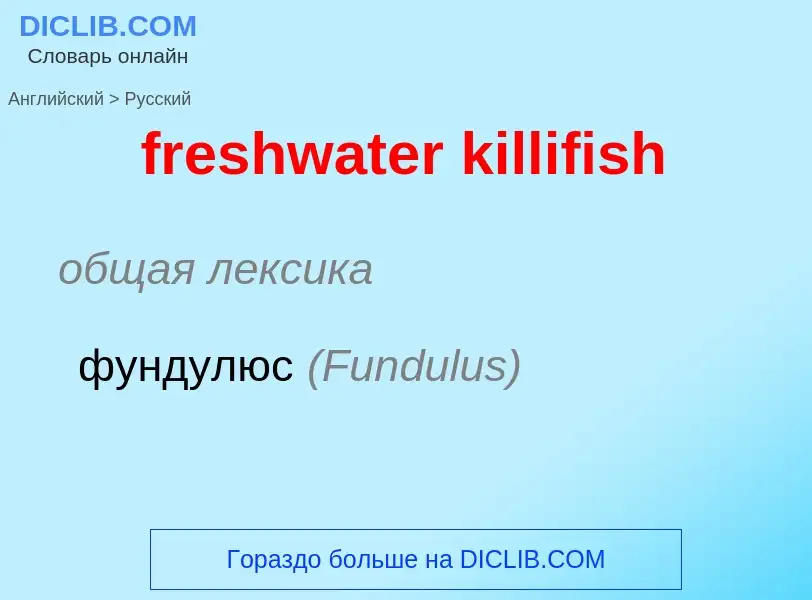 ¿Cómo se dice freshwater killifish en Ruso? Traducción de &#39freshwater killifish&#39 al Ruso