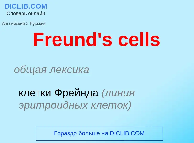 Как переводится Freund's cells на Русский язык