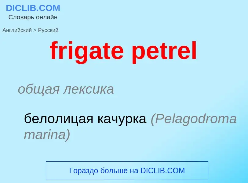 Как переводится frigate petrel на Русский язык