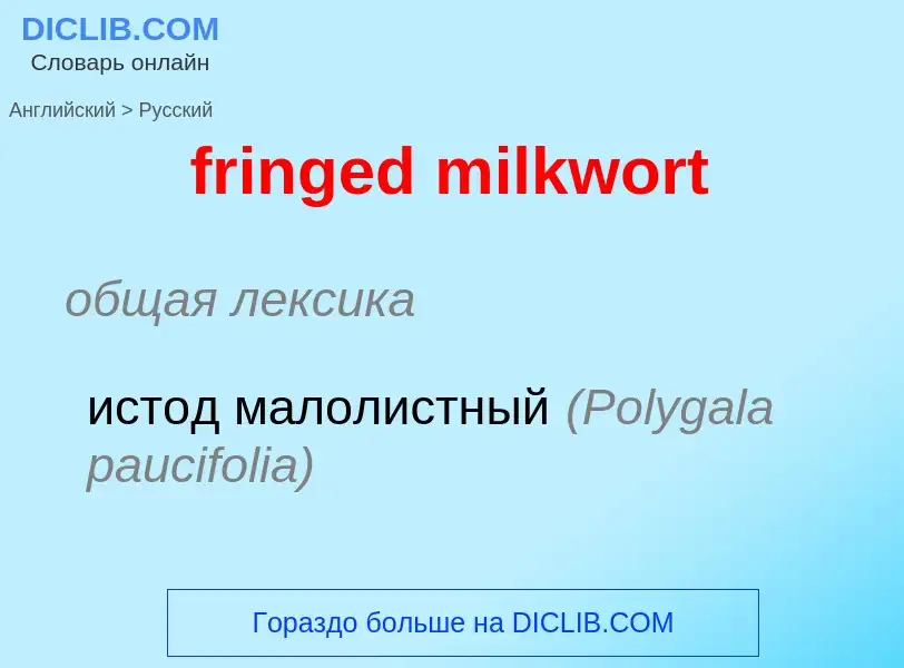 Vertaling van &#39fringed milkwort&#39 naar Russisch