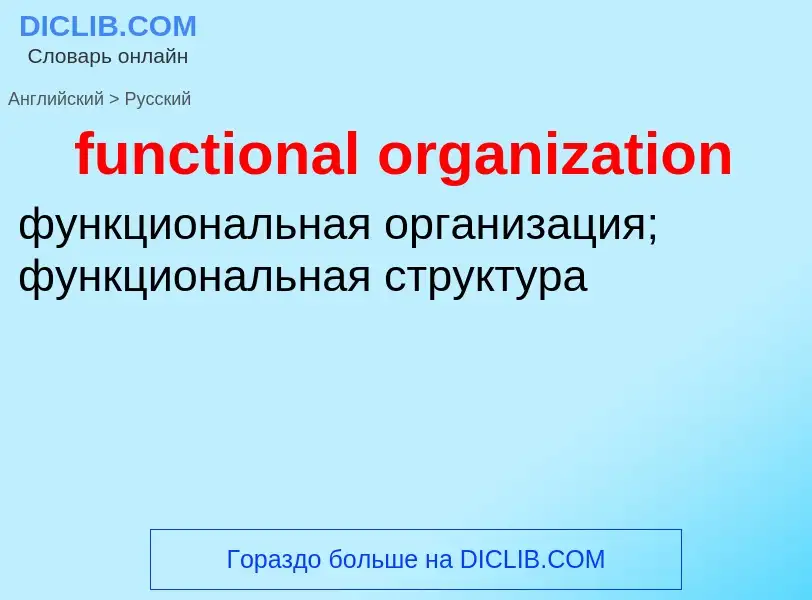 Μετάφραση του &#39functional organization&#39 σε Ρωσικά