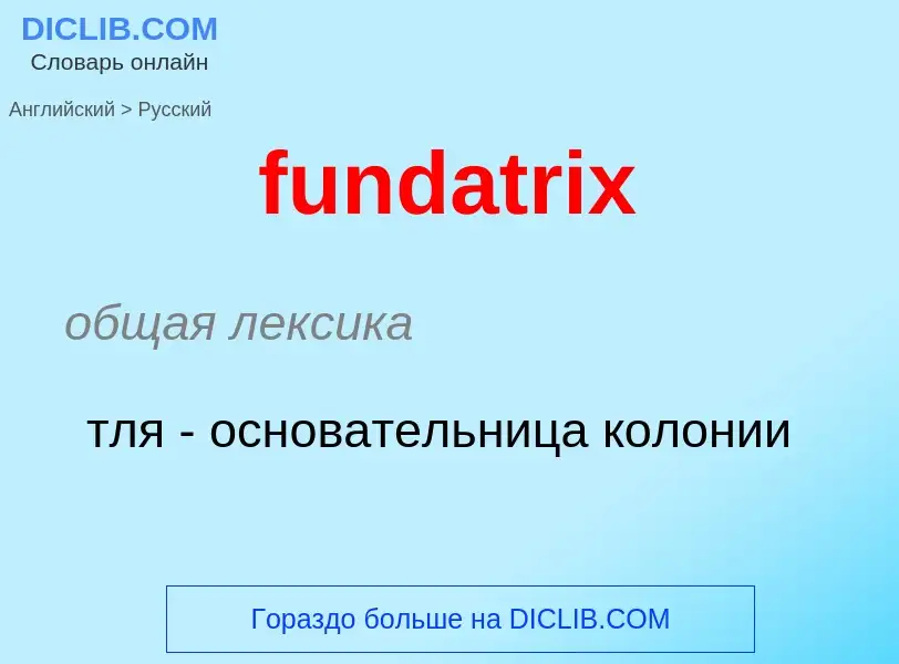 Μετάφραση του &#39fundatrix&#39 σε Ρωσικά