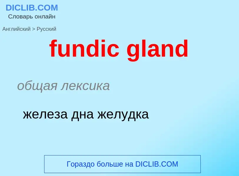 Traduction de &#39fundic gland&#39 en Russe