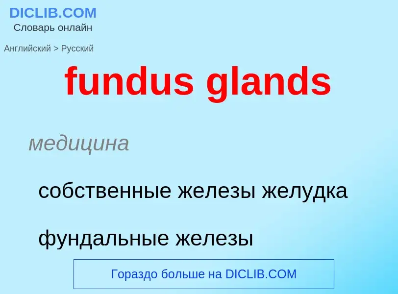 Μετάφραση του &#39fundus glands&#39 σε Ρωσικά