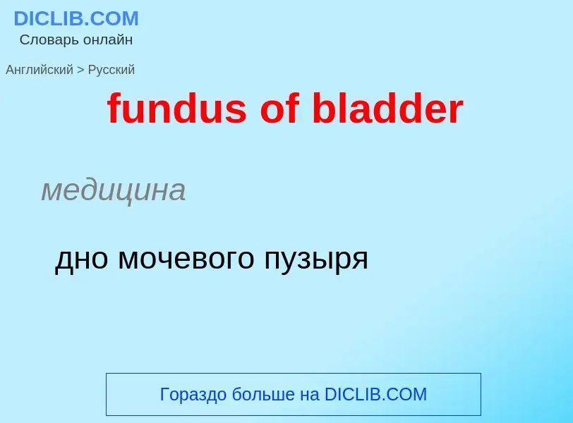 Μετάφραση του &#39fundus of bladder&#39 σε Ρωσικά