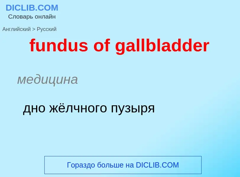 Μετάφραση του &#39fundus of gallbladder&#39 σε Ρωσικά