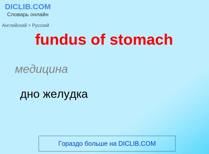 Μετάφραση του &#39fundus of stomach&#39 σε Ρωσικά